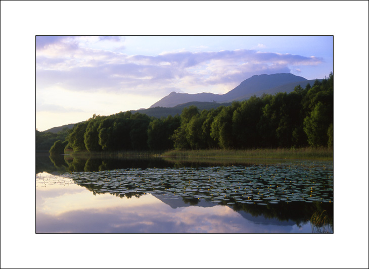 http://dtq.free.fr/photos/scotland/06_loch_lommond.jpg